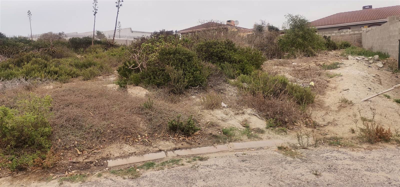 721 m² Land available in Saldanha photo number 10