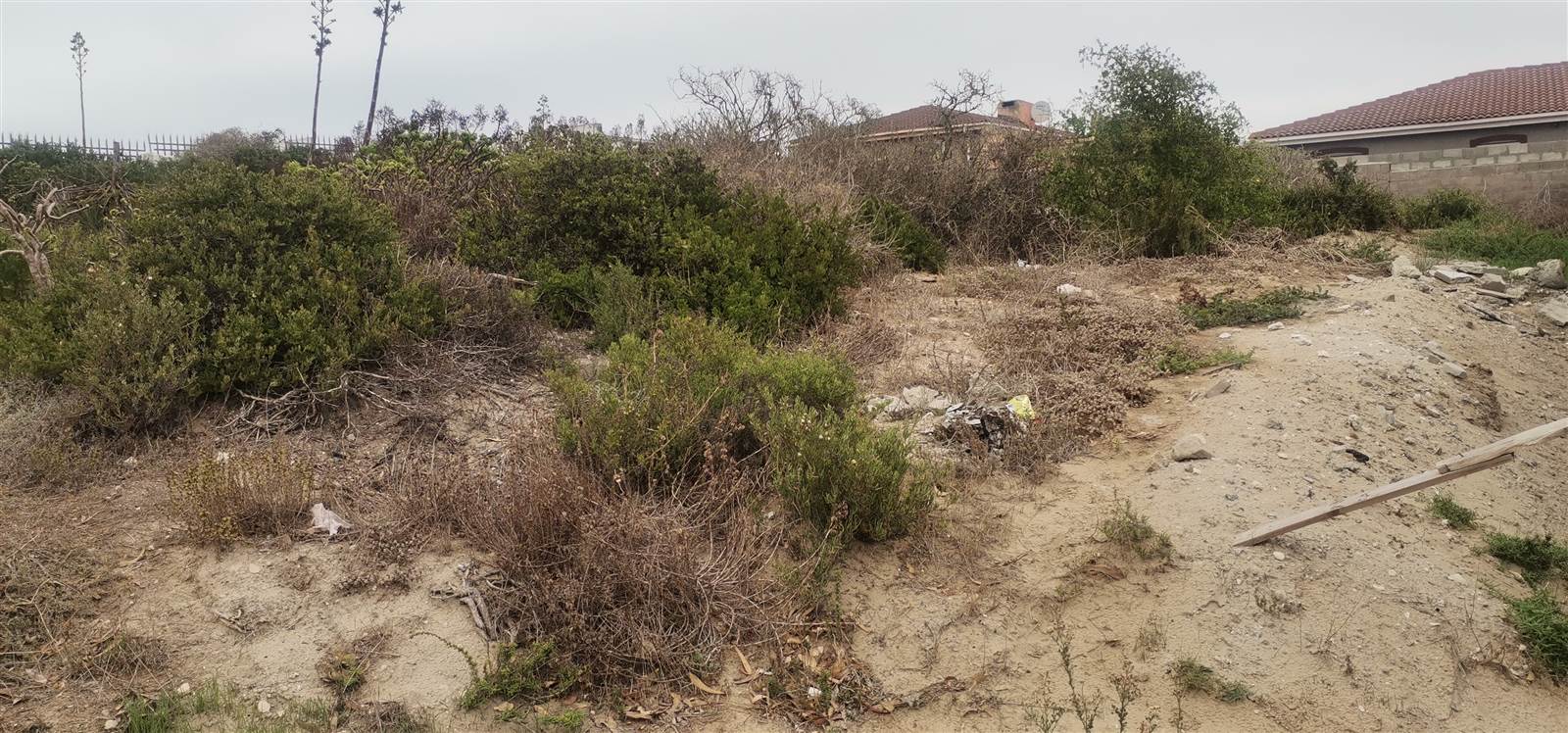 721 m² Land available in Saldanha photo number 2