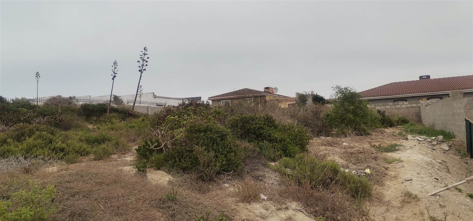721 m² Land available in Saldanha photo number 8
