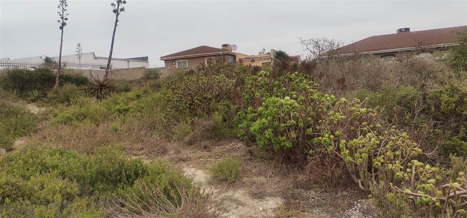 721 m² Land available in Saldanha photo number 6