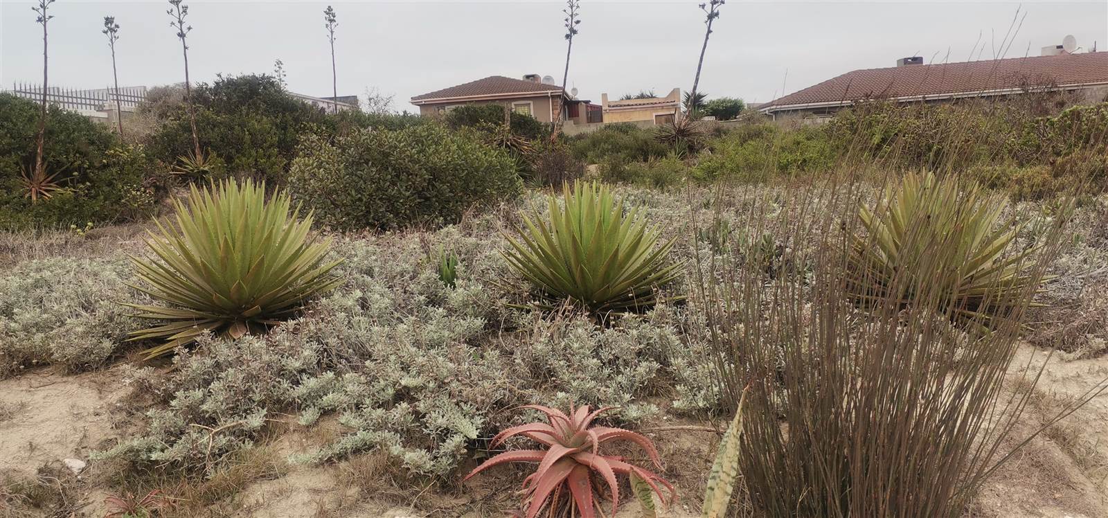 721 m² Land available in Saldanha photo number 4