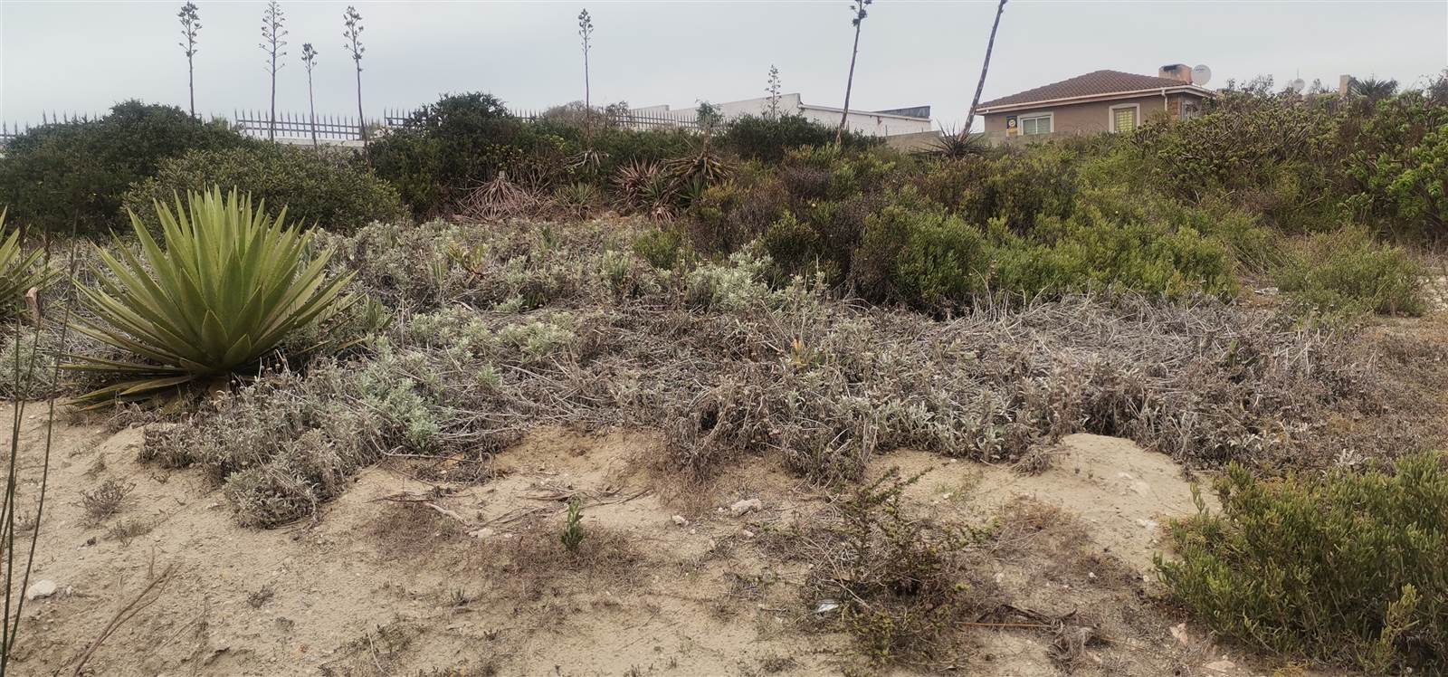 721 m² Land available in Saldanha photo number 3