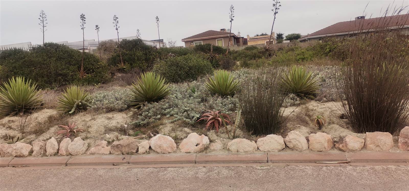 721 m² Land available in Saldanha photo number 1