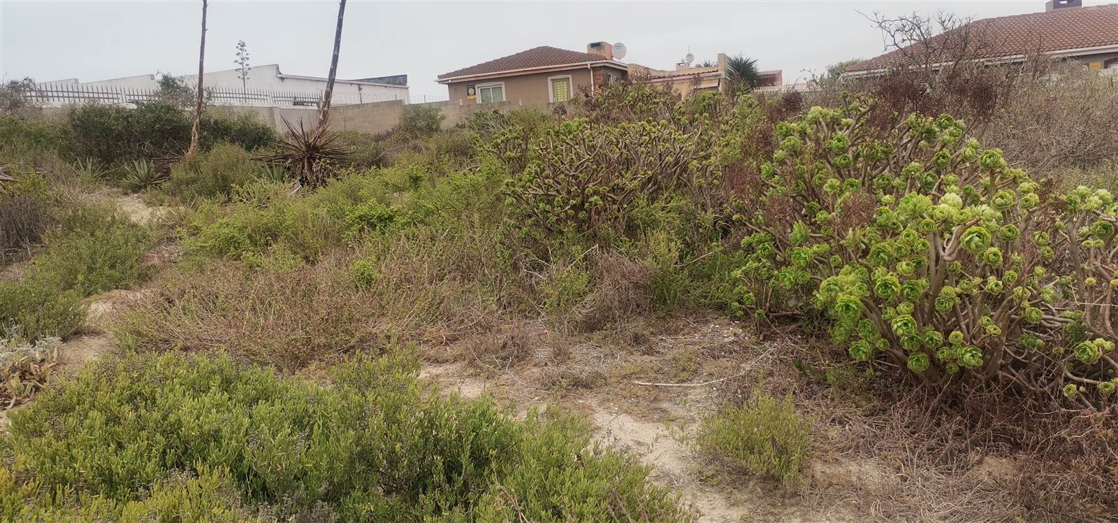 721 m² Land available in Saldanha photo number 9