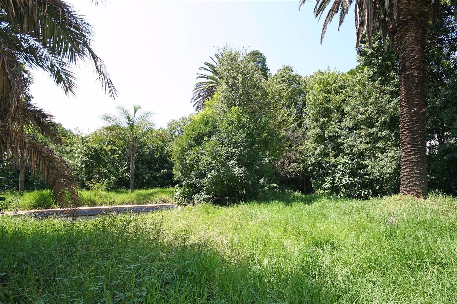 1000 m² Land available in Morningside photo number 1