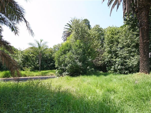 1000 m² Land available in Morningside