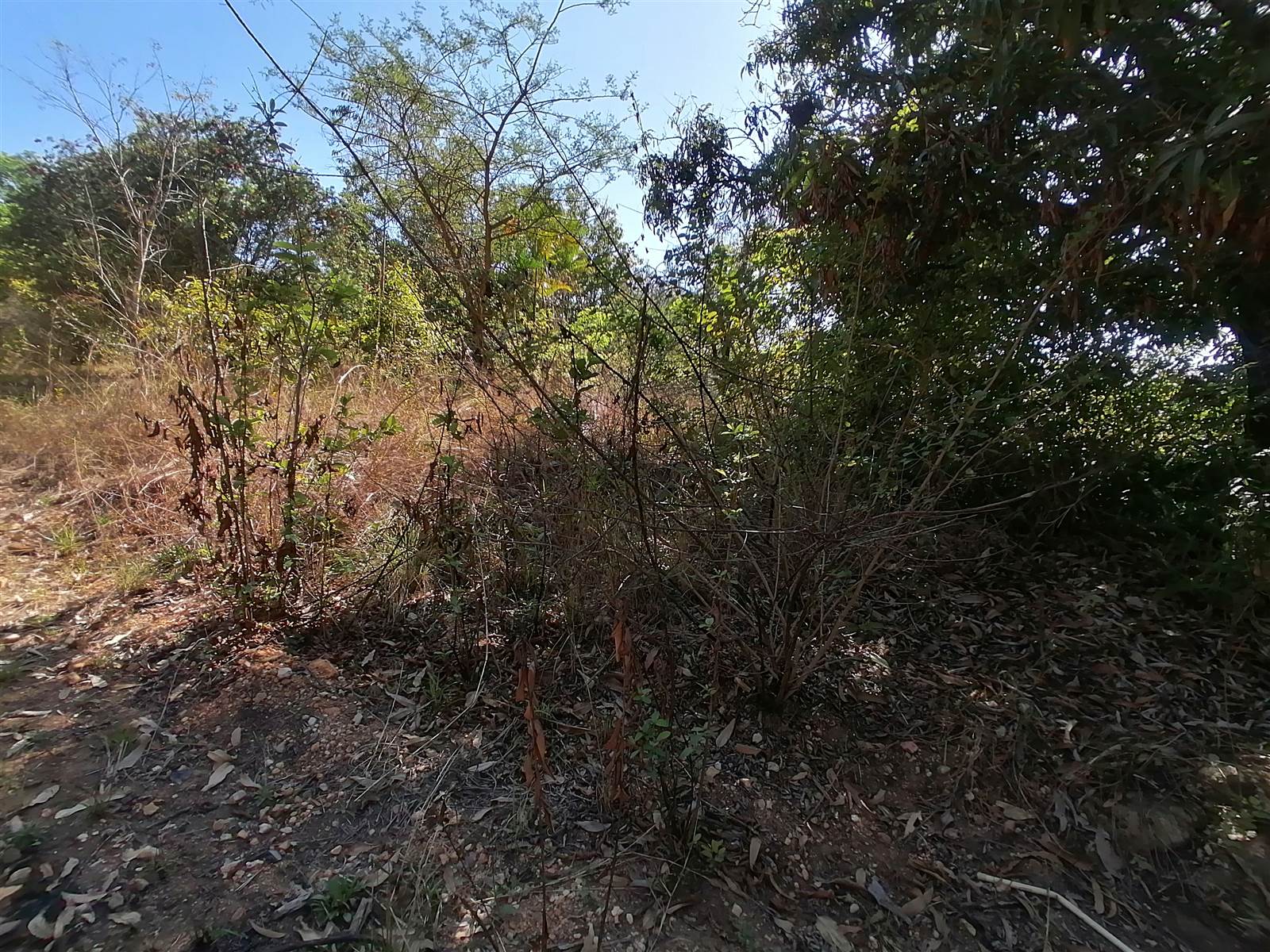 21.4 ha Land available in Tzaneen photo number 5