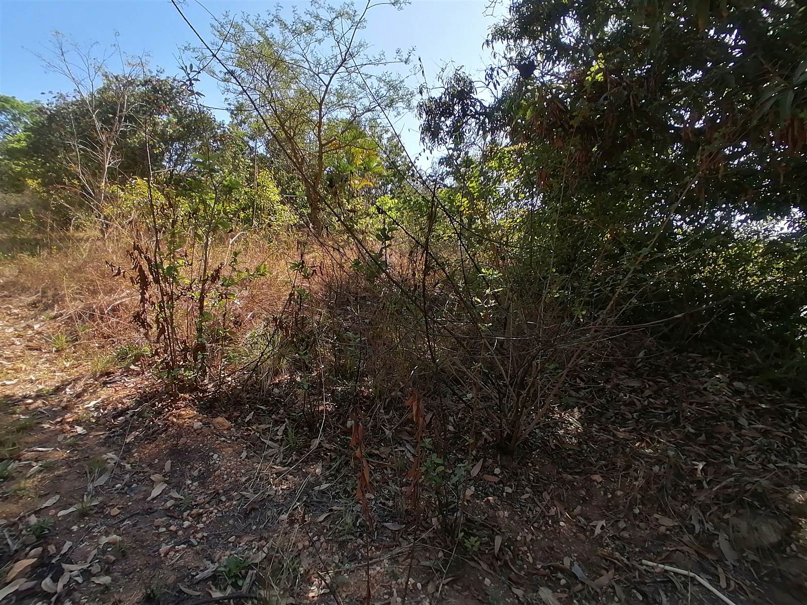 21.4 ha Land available in Tzaneen photo number 6