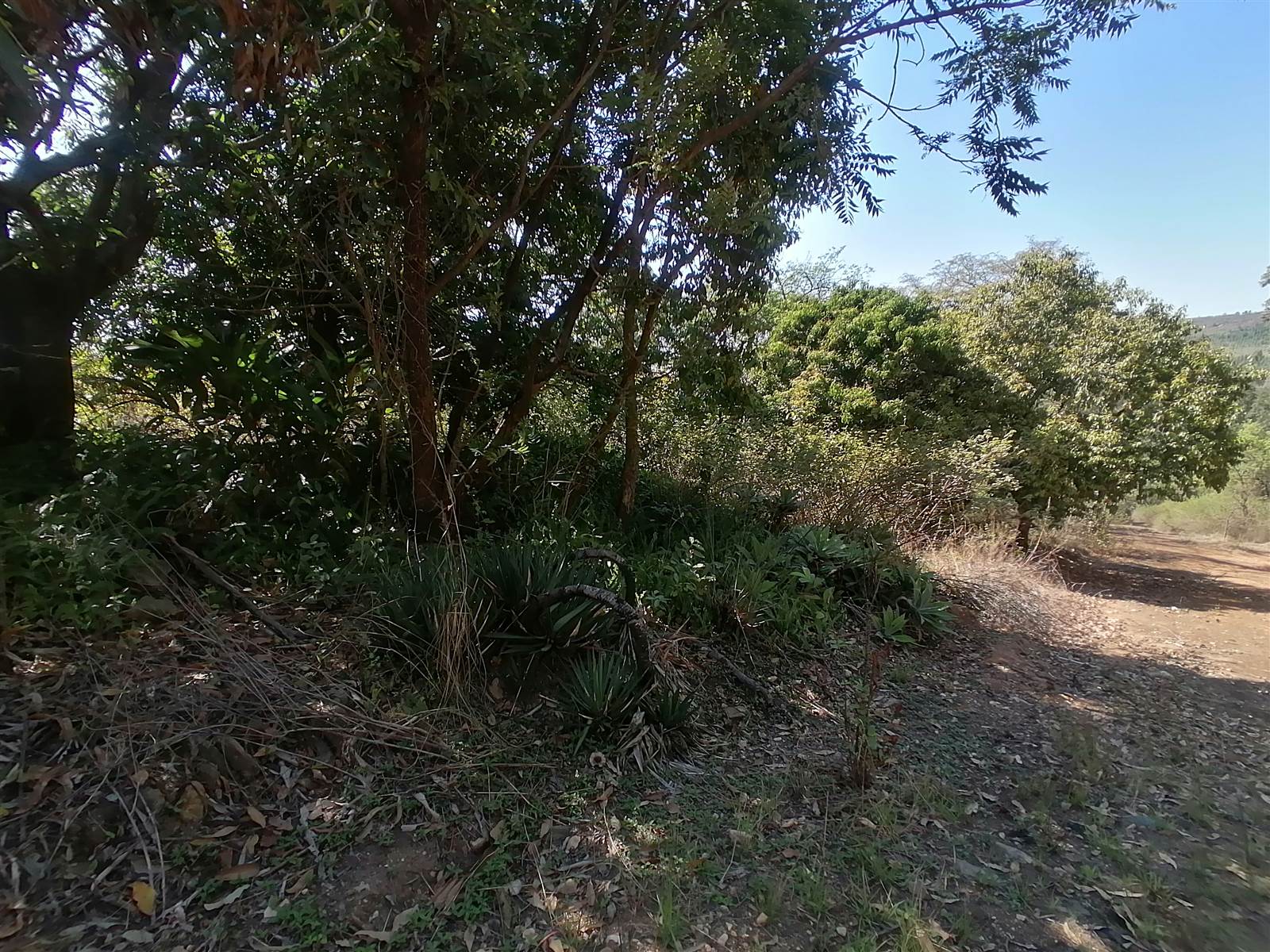 21.4 ha Land available in Tzaneen photo number 4