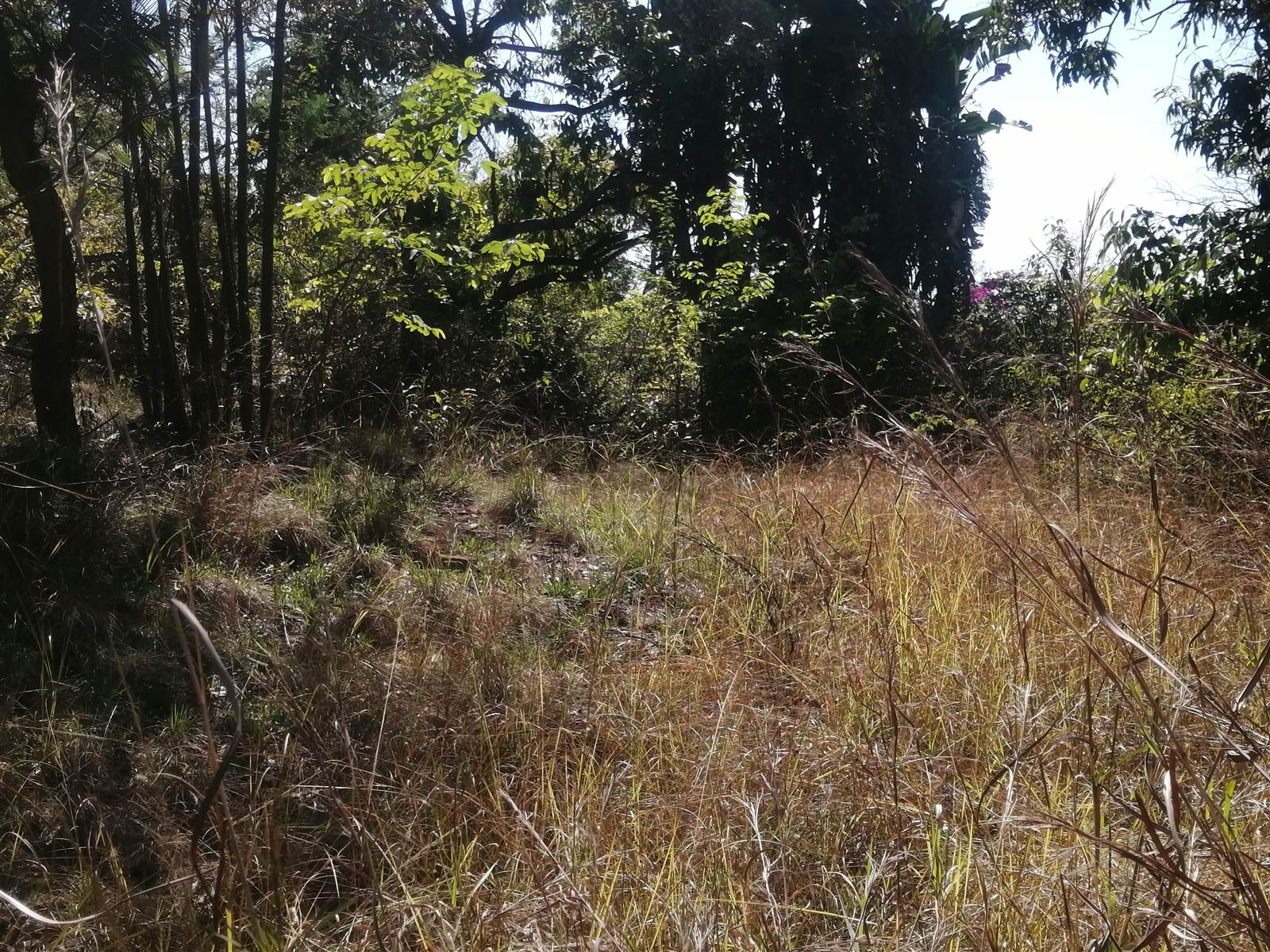 21.4 ha Land available in Tzaneen photo number 1