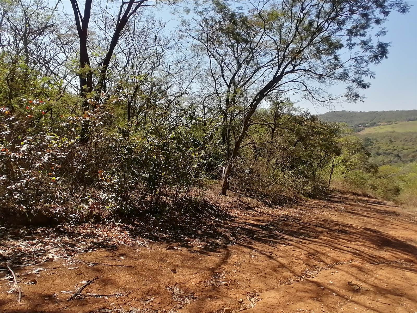 21.4 ha Land available in Tzaneen photo number 9