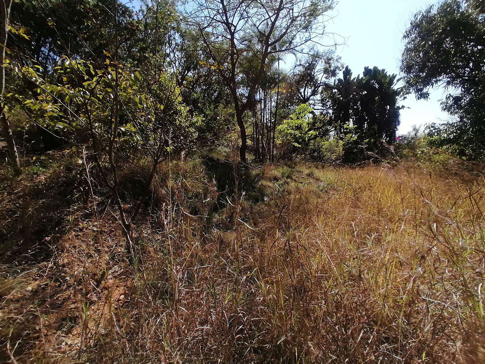 21.4 ha Land available in Tzaneen photo number 3