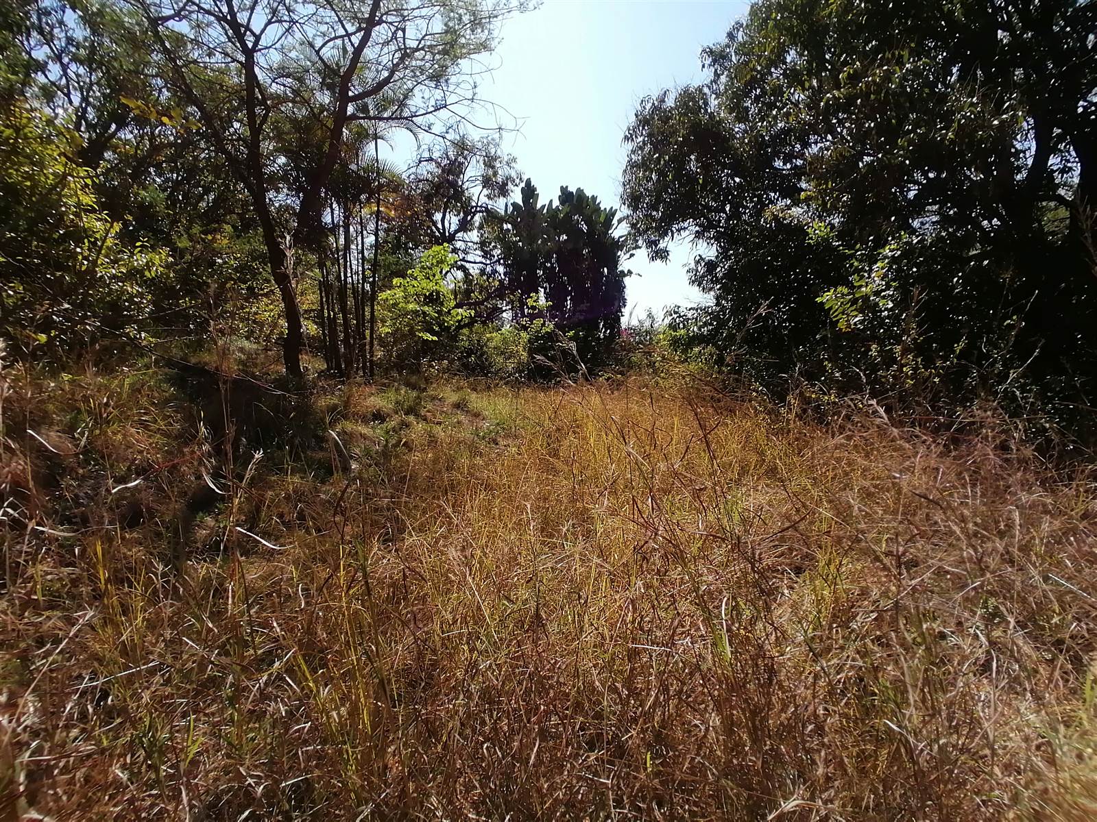 21.4 ha Land available in Tzaneen photo number 2