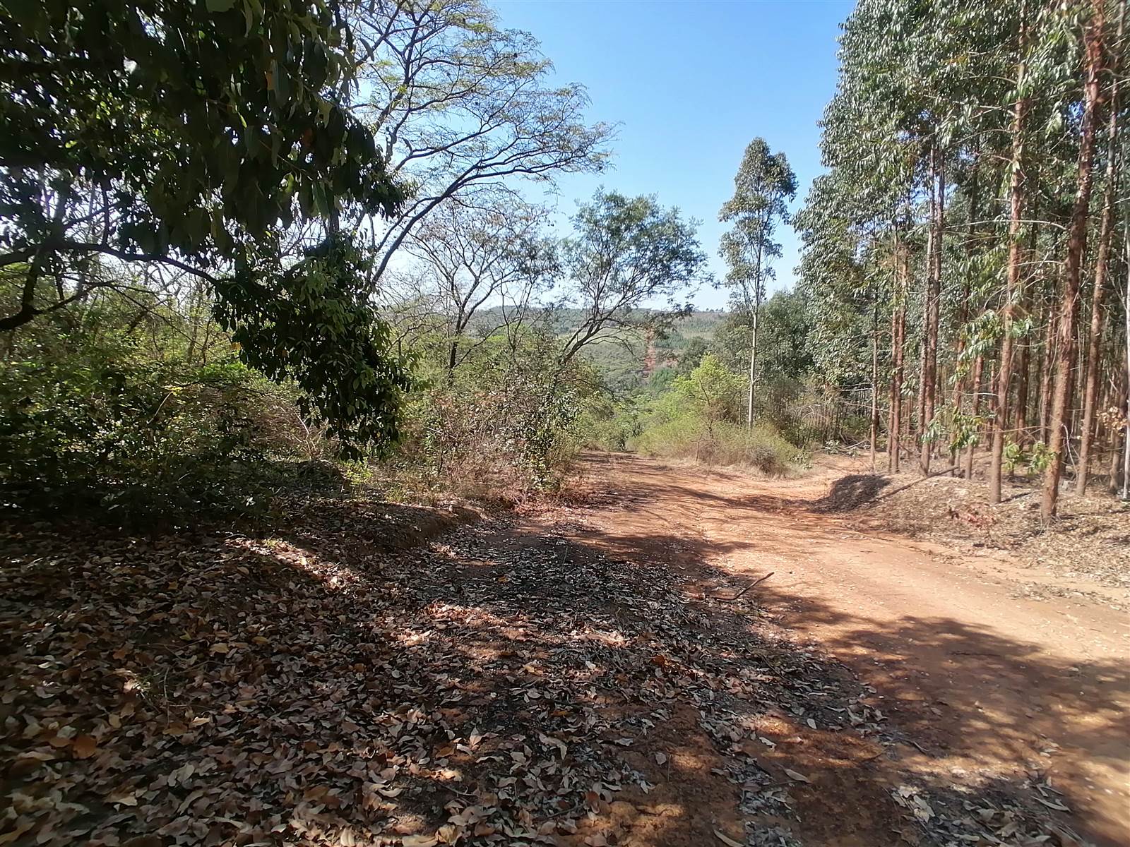 21.4 ha Land available in Tzaneen photo number 7