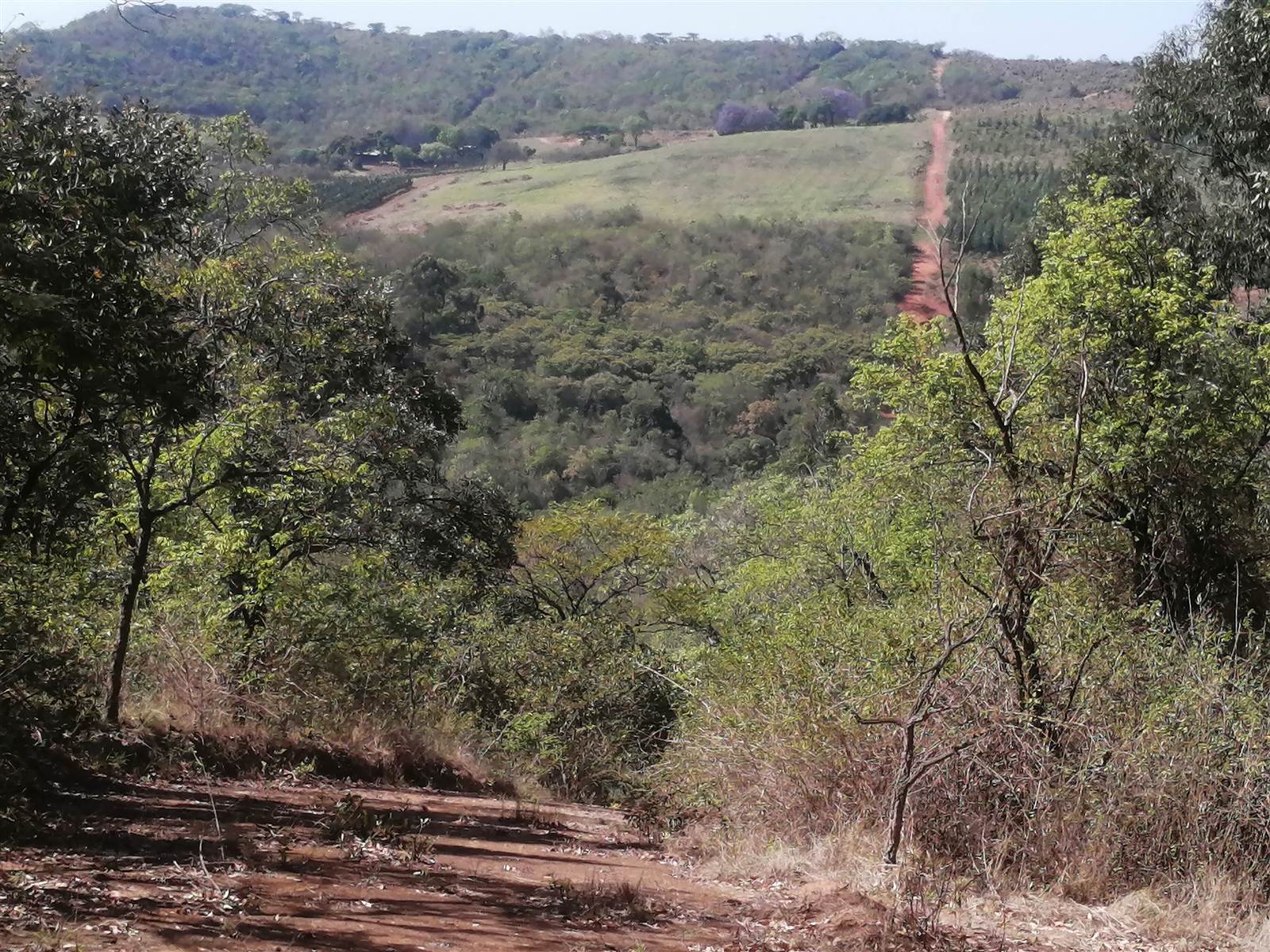 21.4 ha Land available in Tzaneen photo number 8