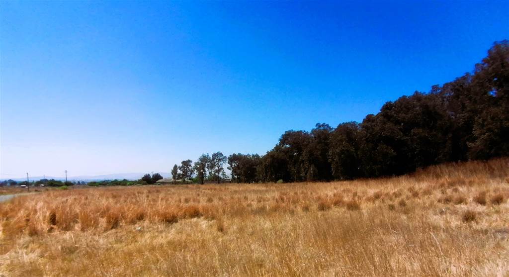 1 ha Land available in Blue Saddle Ranches photo number 6