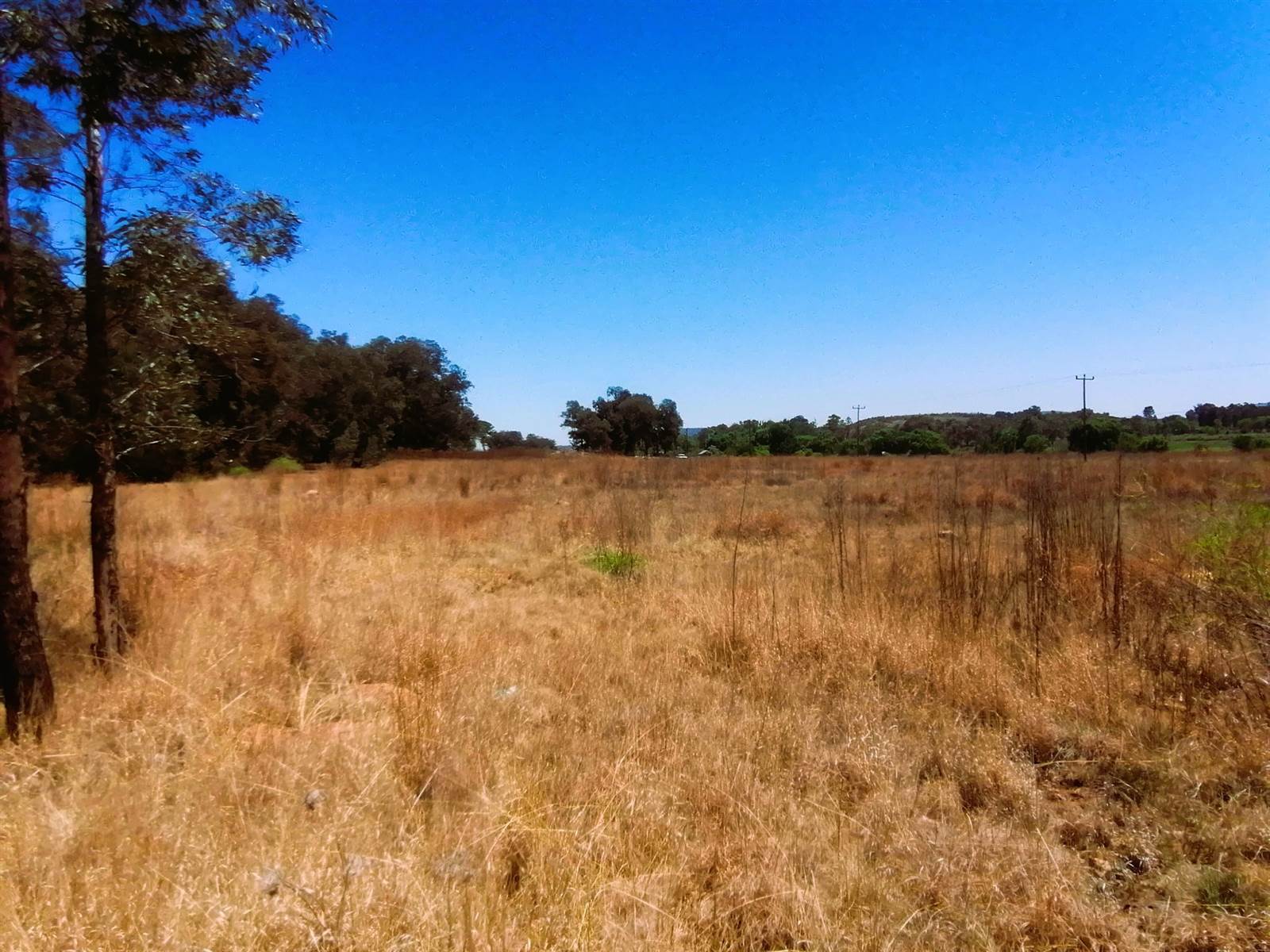 1 ha Land available in Blue Saddle Ranches photo number 8