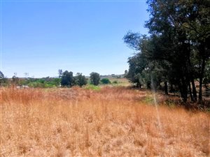 1 ha Land available in Blue Saddle Ranches