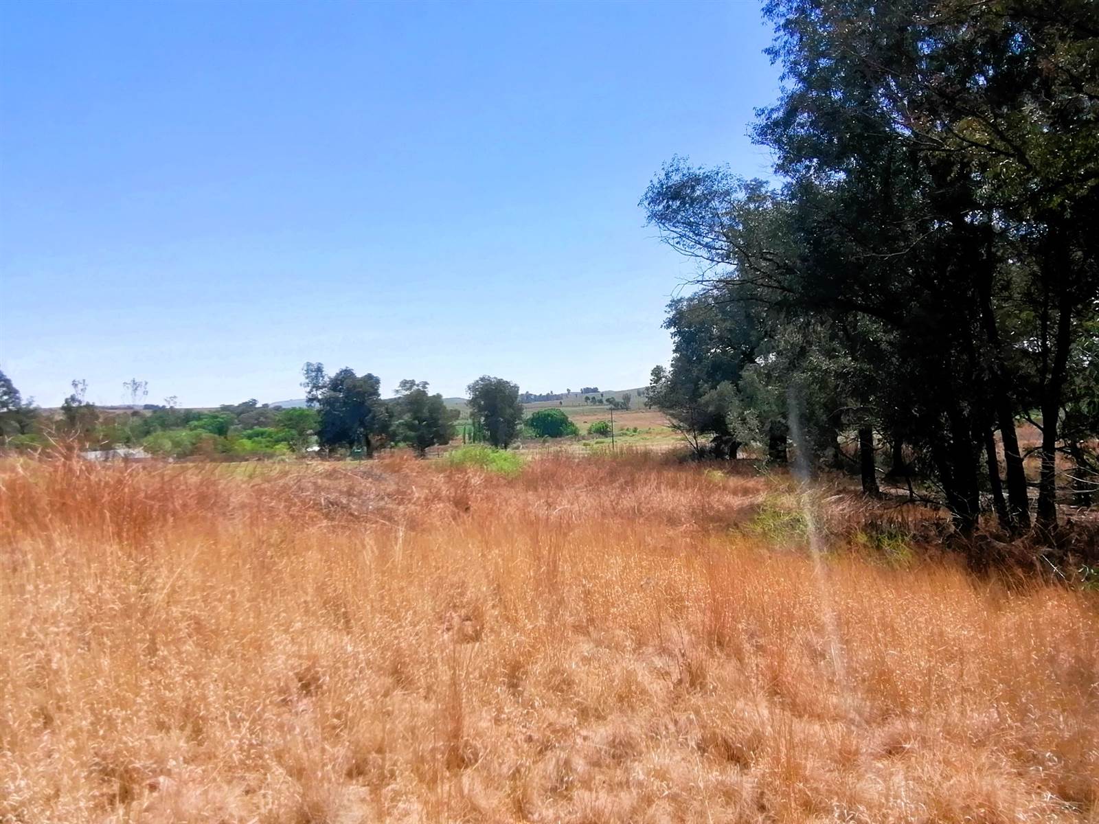 1 ha Land available in Blue Saddle Ranches photo number 3