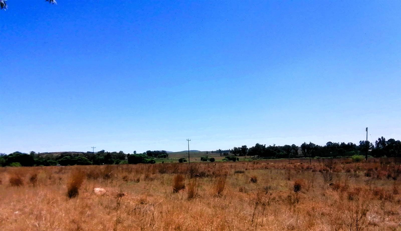 1 ha Land available in Blue Saddle Ranches photo number 9