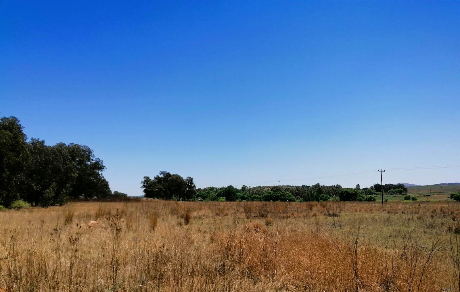 1 ha Land available in Blue Saddle Ranches photo number 2
