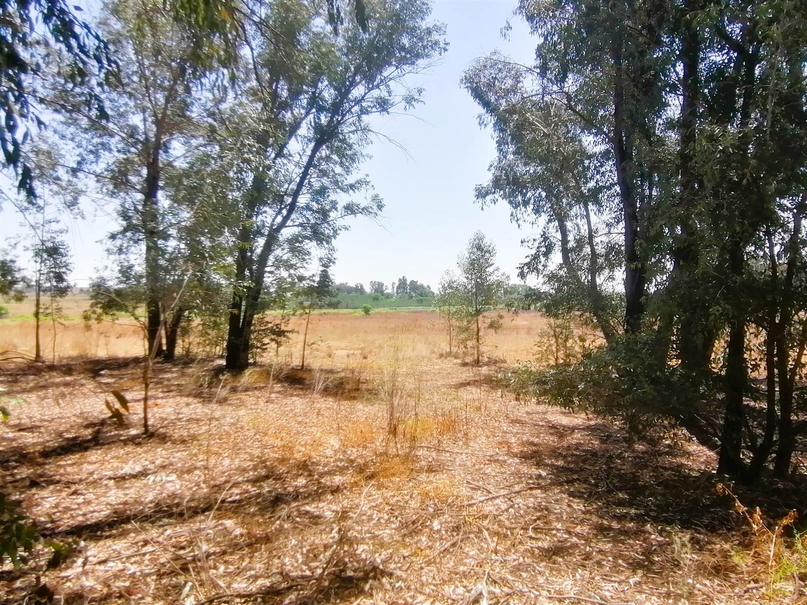 1 ha Land available in Blue Saddle Ranches photo number 4