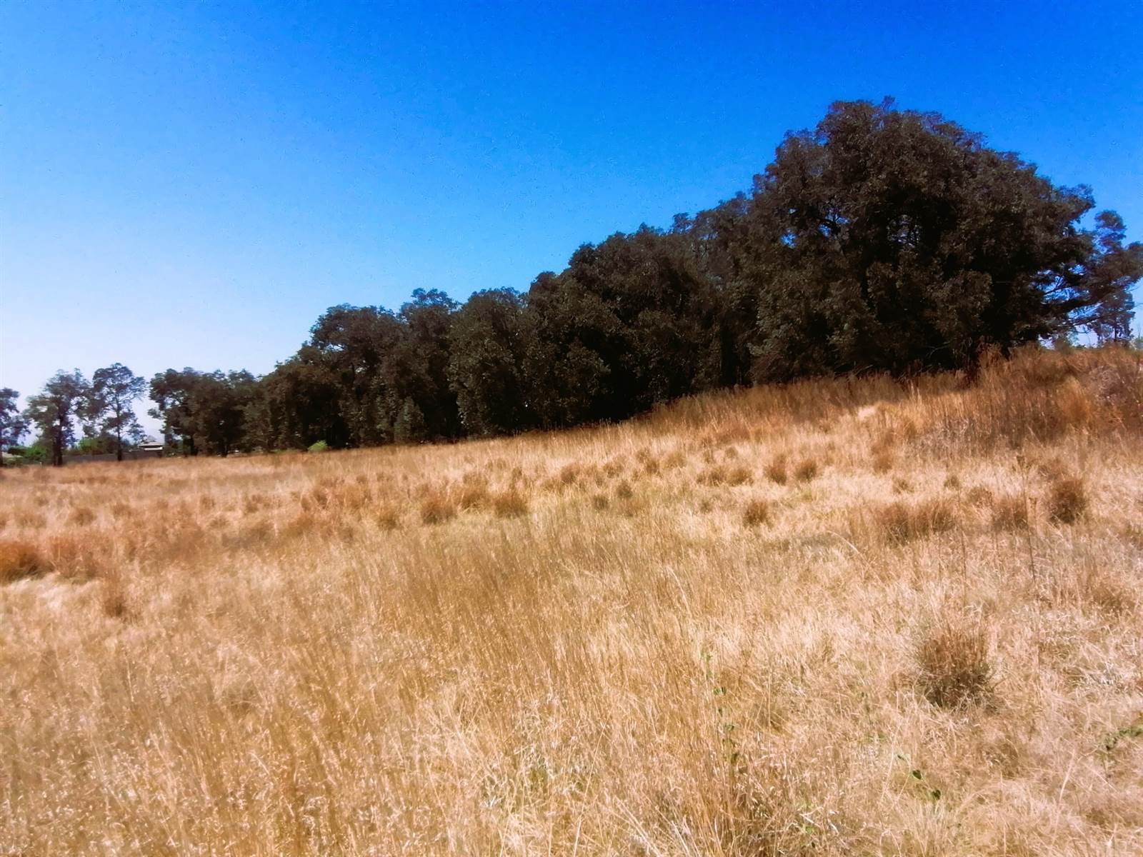1 ha Land available in Blue Saddle Ranches photo number 7