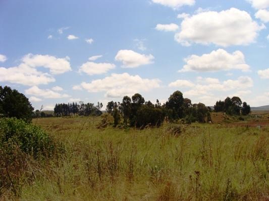 458 m² Land available in Dullstroom photo number 3