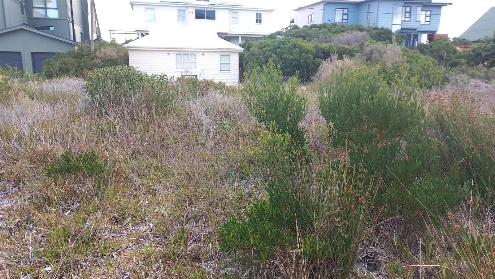 600 m² Land available in Pringle Bay photo number 12