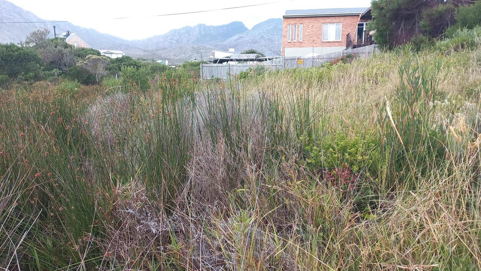 600 m² Land available in Pringle Bay photo number 7