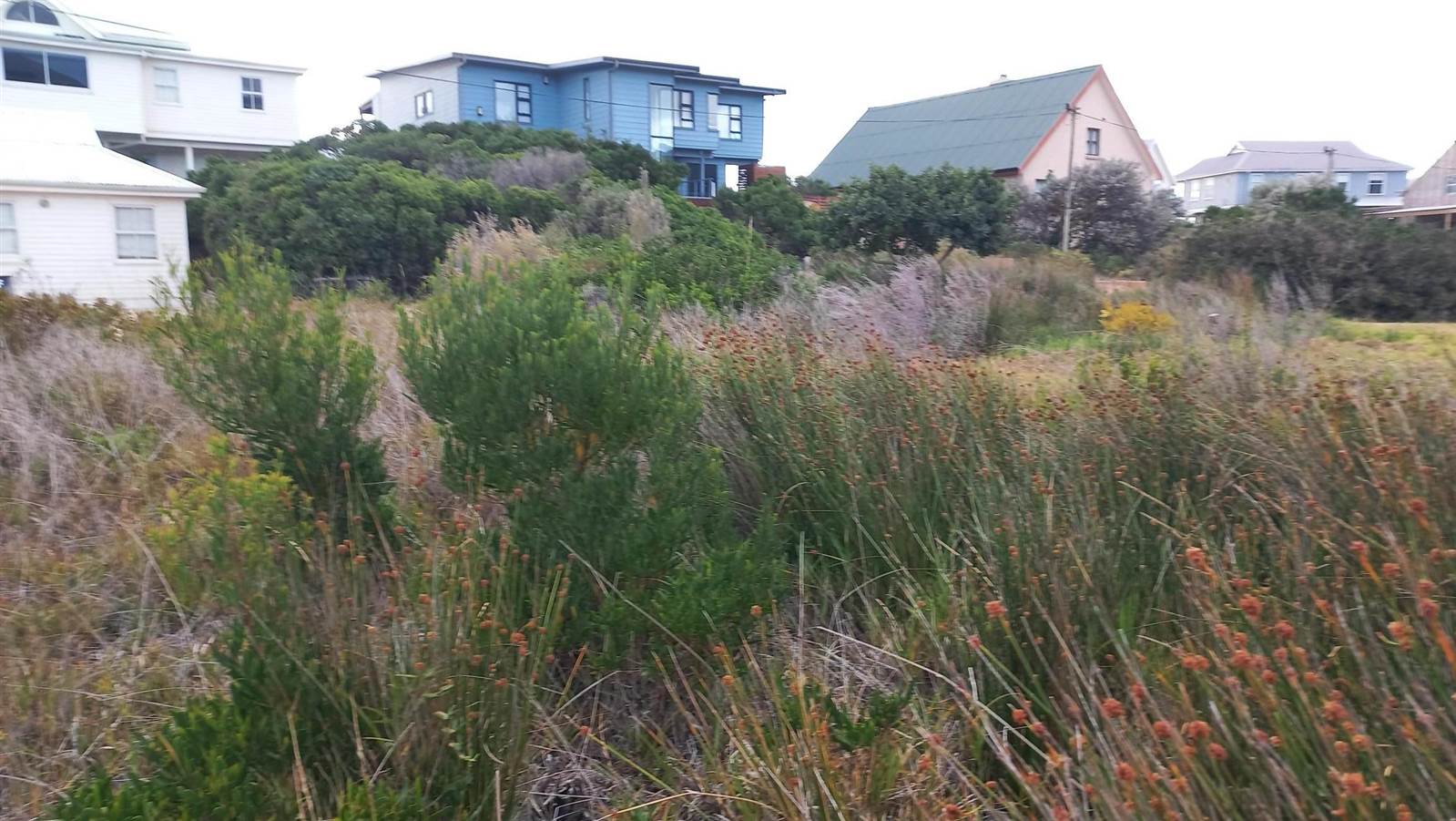 600 m² Land available in Pringle Bay photo number 2