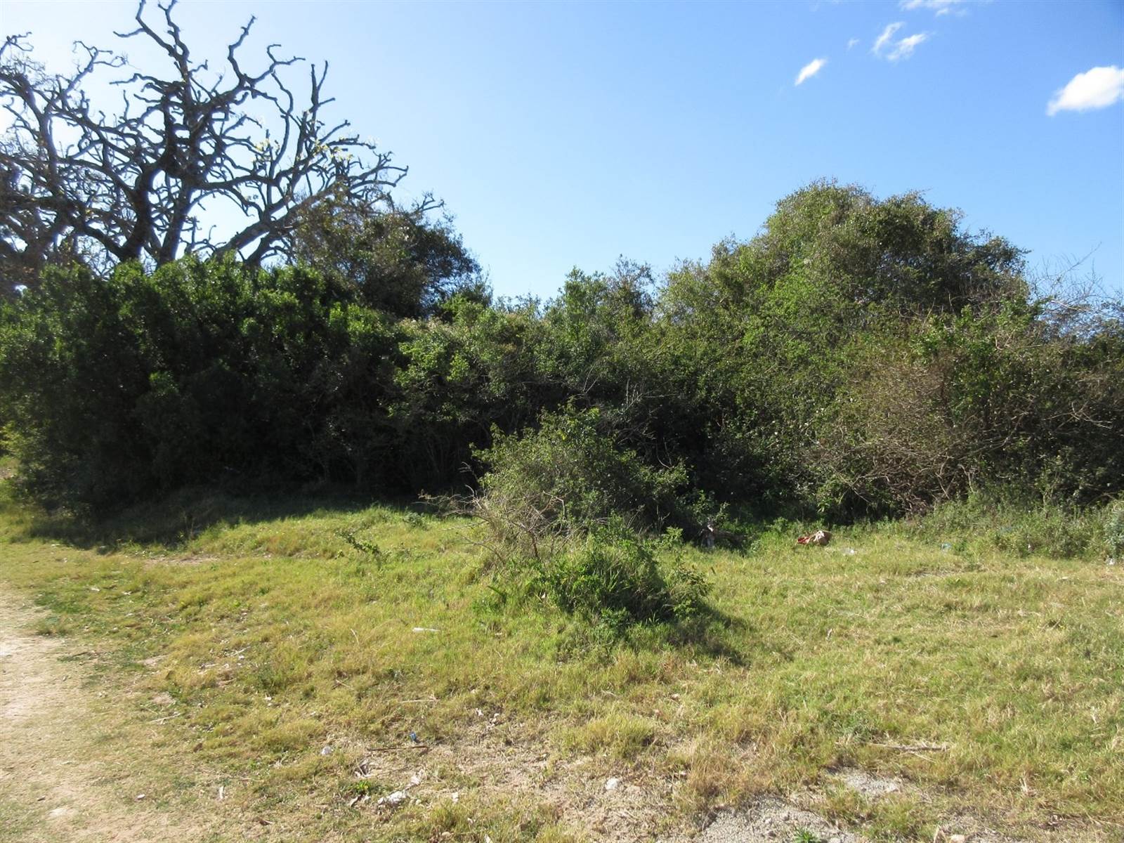 4730 m² Land available in Bathurst and Surrounds photo number 6