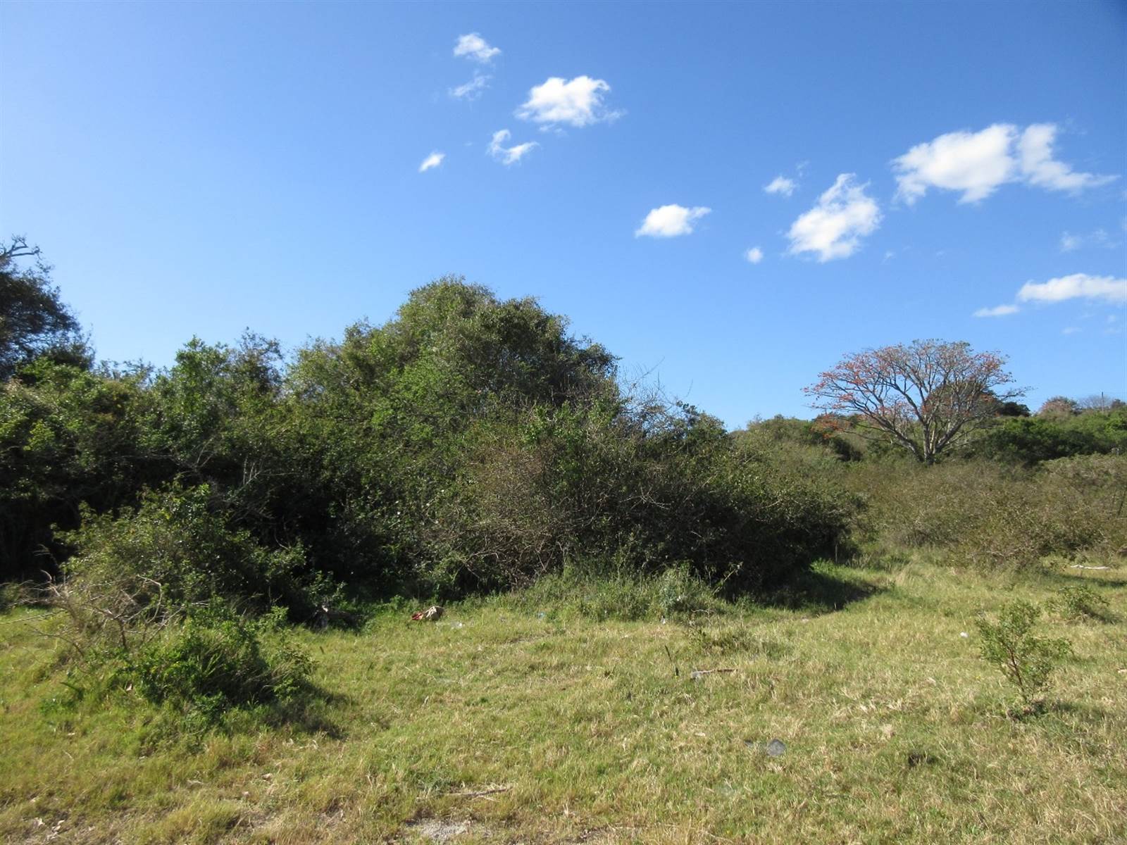 4730 m² Land available in Bathurst and Surrounds photo number 4