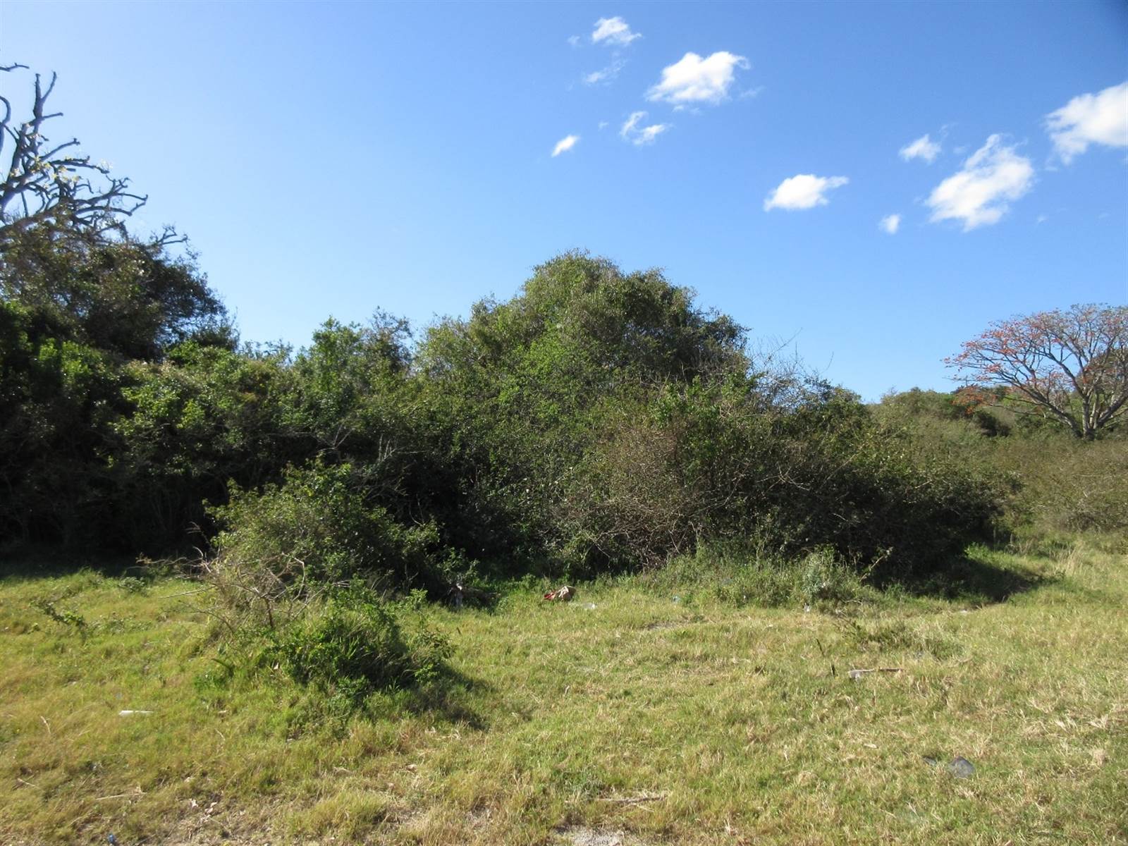 4730 m² Land available in Bathurst and Surrounds photo number 7