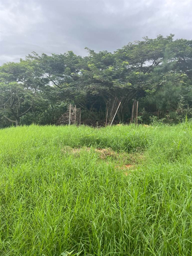 1016 m² Land available in La Mercy photo number 19