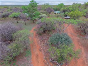 21 ha Farm in Dinokeng