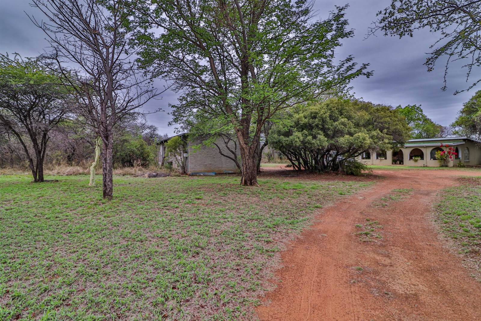 21 ha Farm in Dinokeng photo number 26