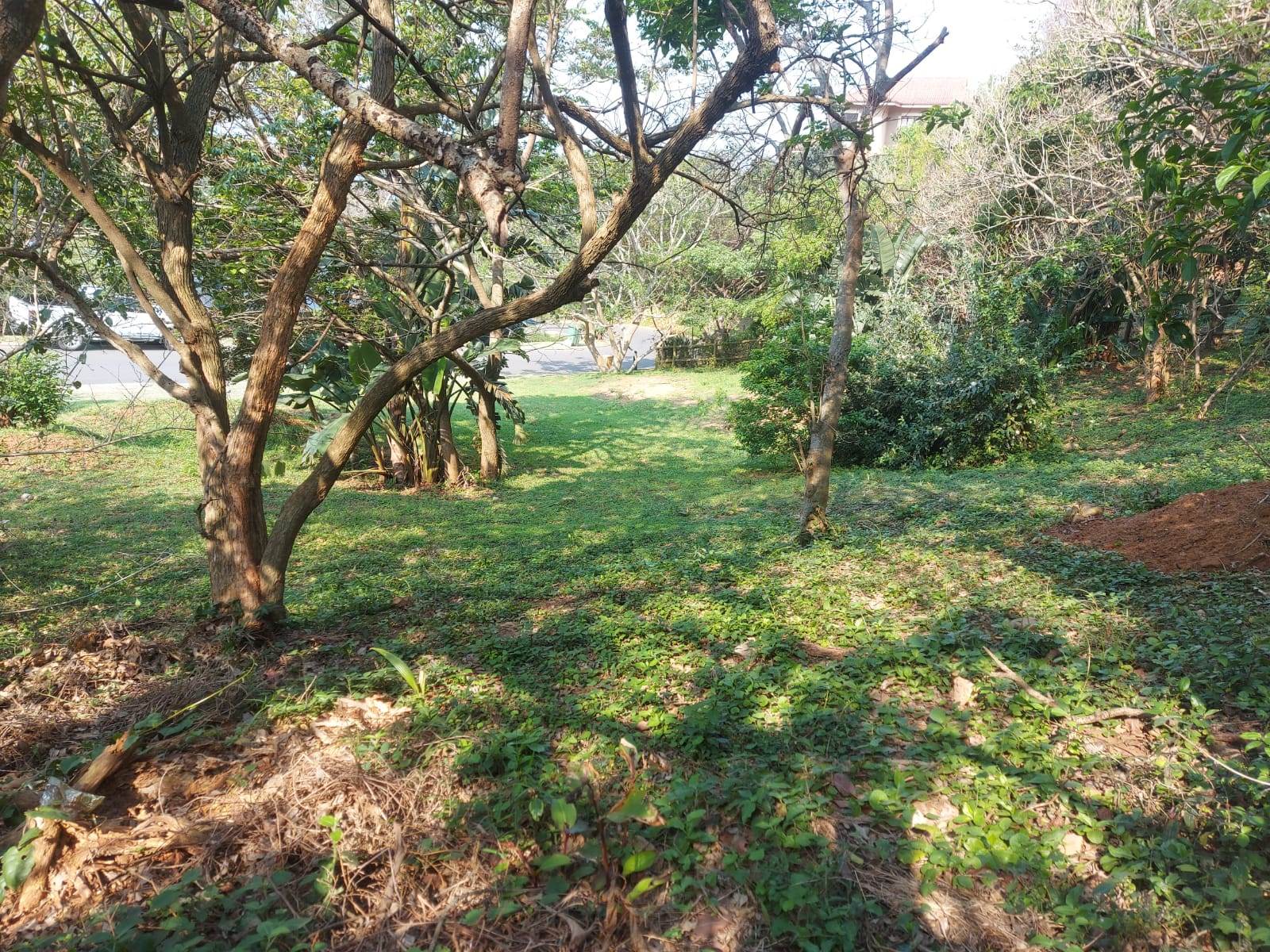 939 m² Land available in Sheffield Beach photo number 4
