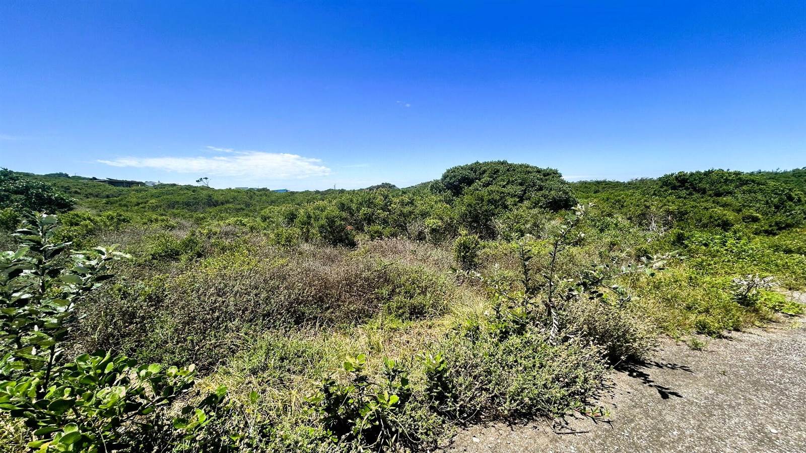 1054 m² Land available in Cannon Rocks photo number 8