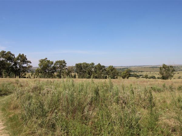 25.8 ha Land available in Lindley