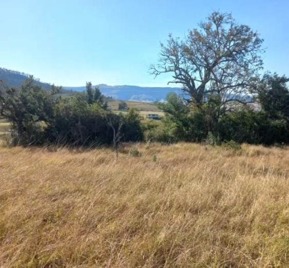 750 m² Land available in Katberg photo number 6