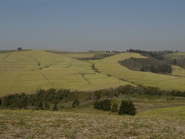 82.9 ha Farm