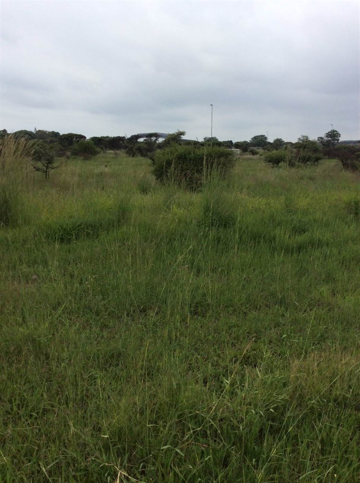 3490 m² Land available in Magna Via photo number 4