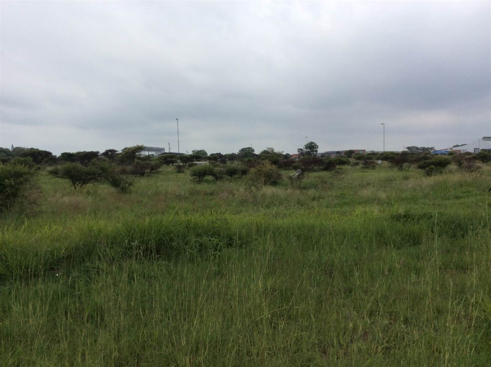 3490 m² Land available in Magna Via photo number 5