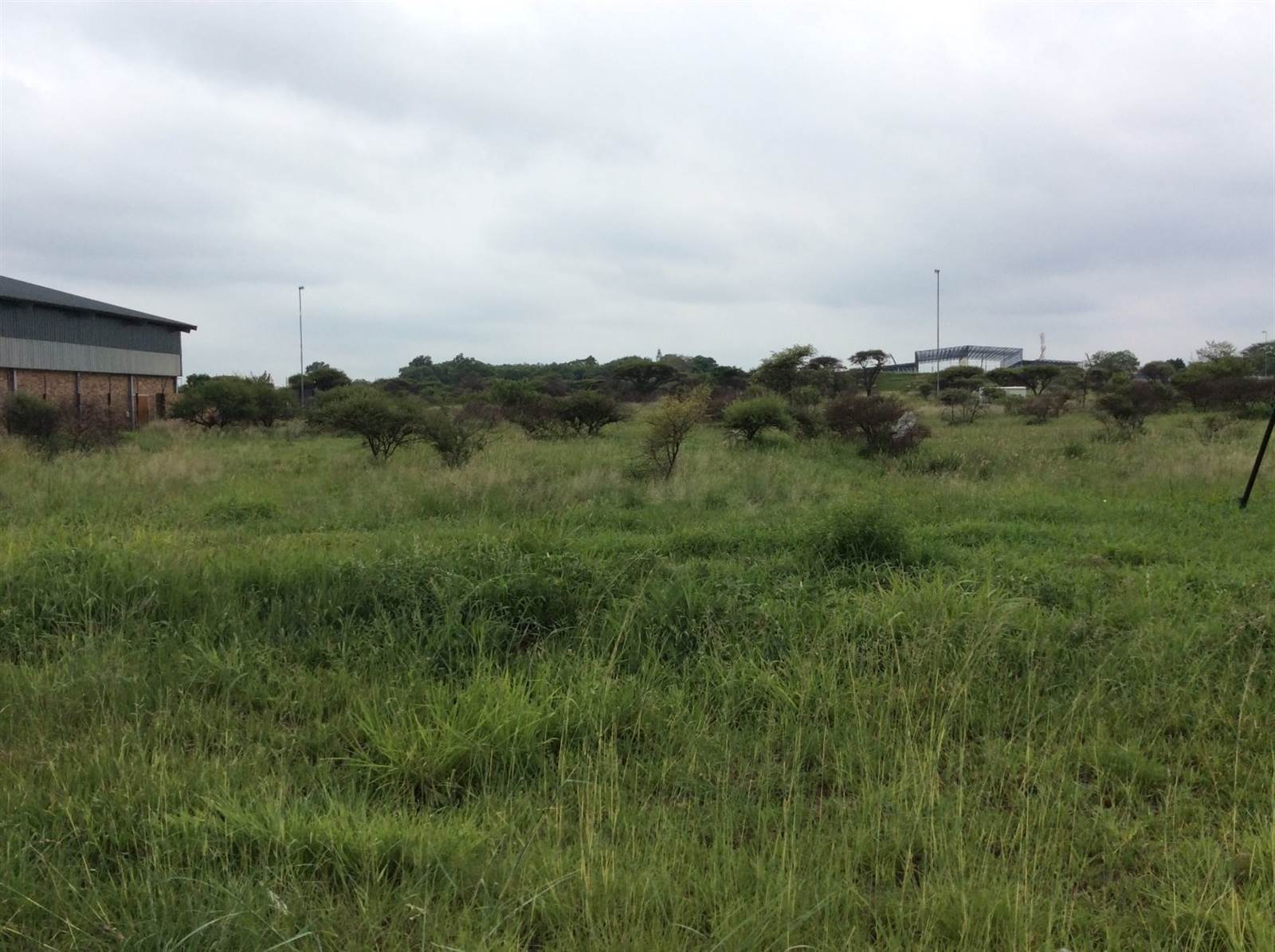 3490 m² Land available in Magna Via photo number 2