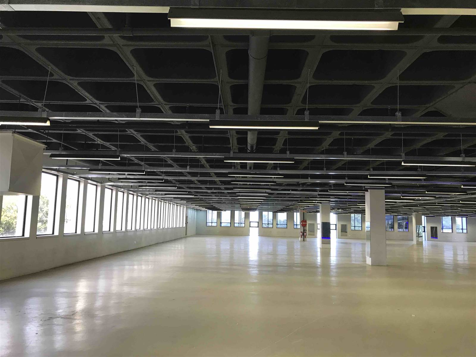 1662  m² Industrial space in Eastgate photo number 9