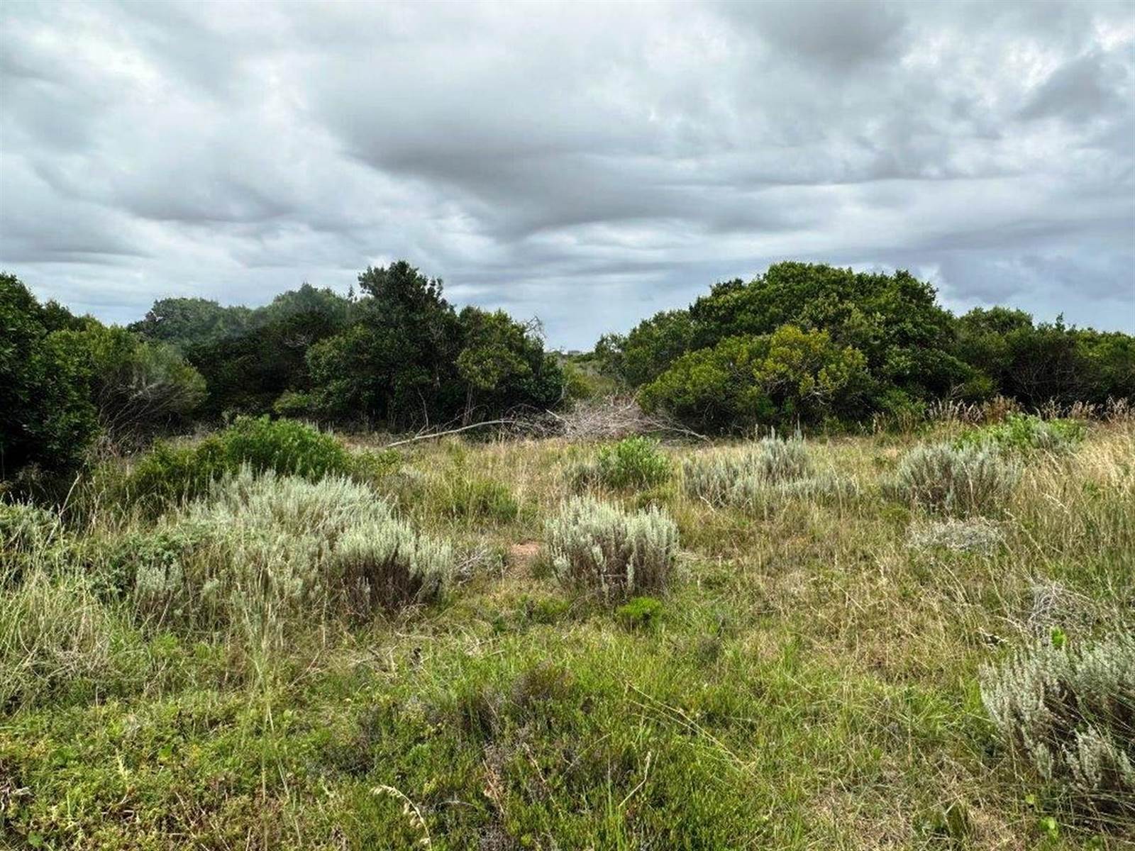 814 m² Land available in Stilbaai photo number 1