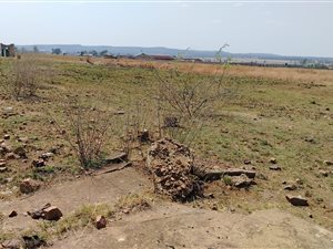 Vacant Land in Walkerville