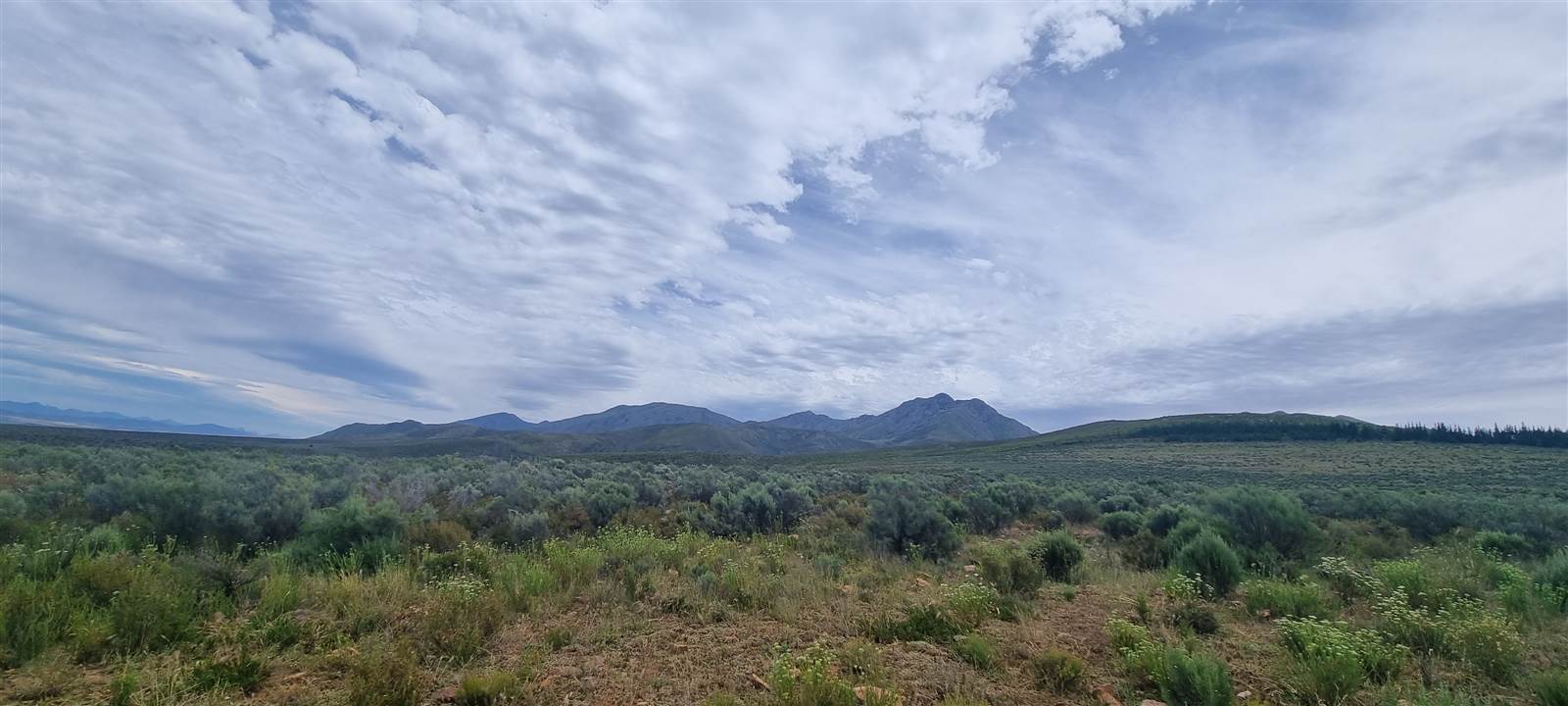 888 ha Land available in Uniondale photo number 18