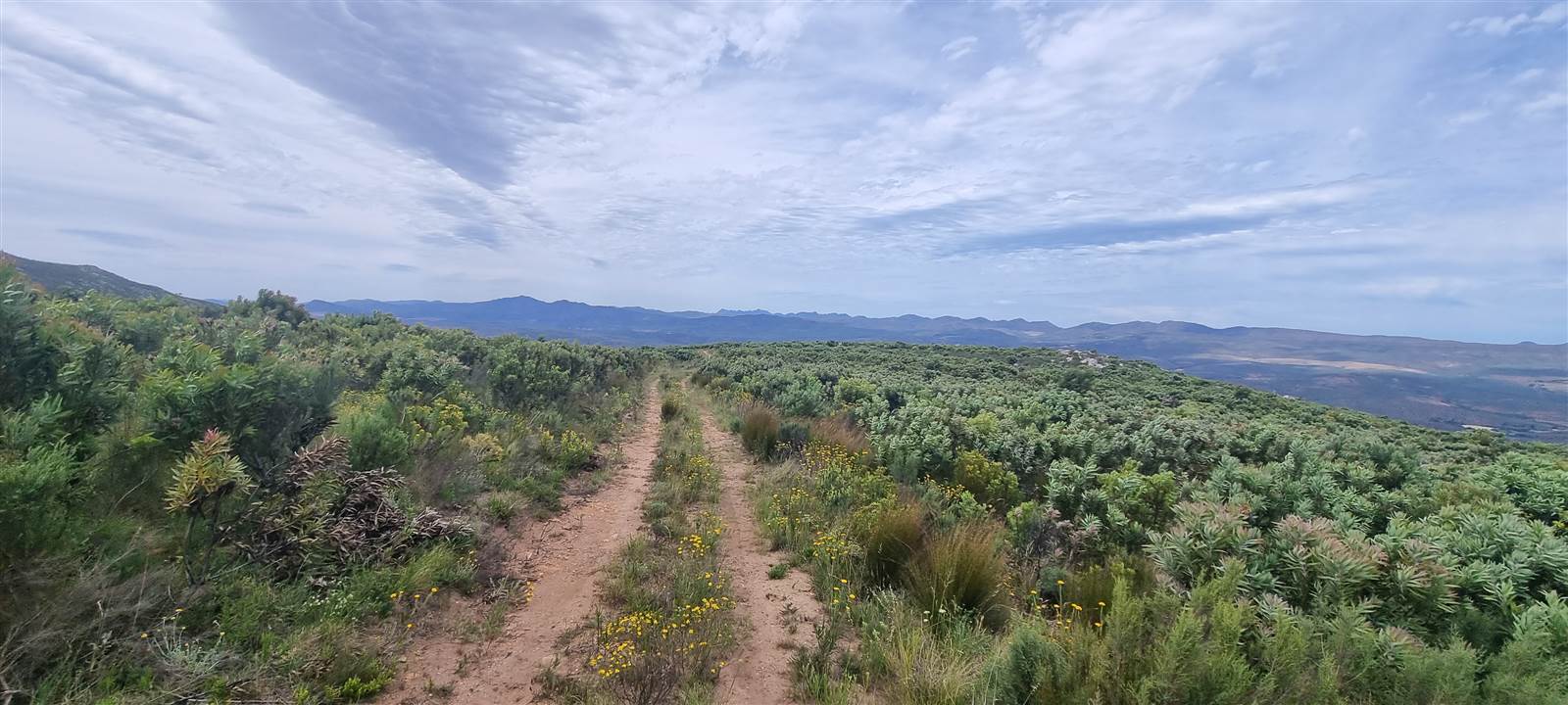 888 ha Land available in Uniondale photo number 11